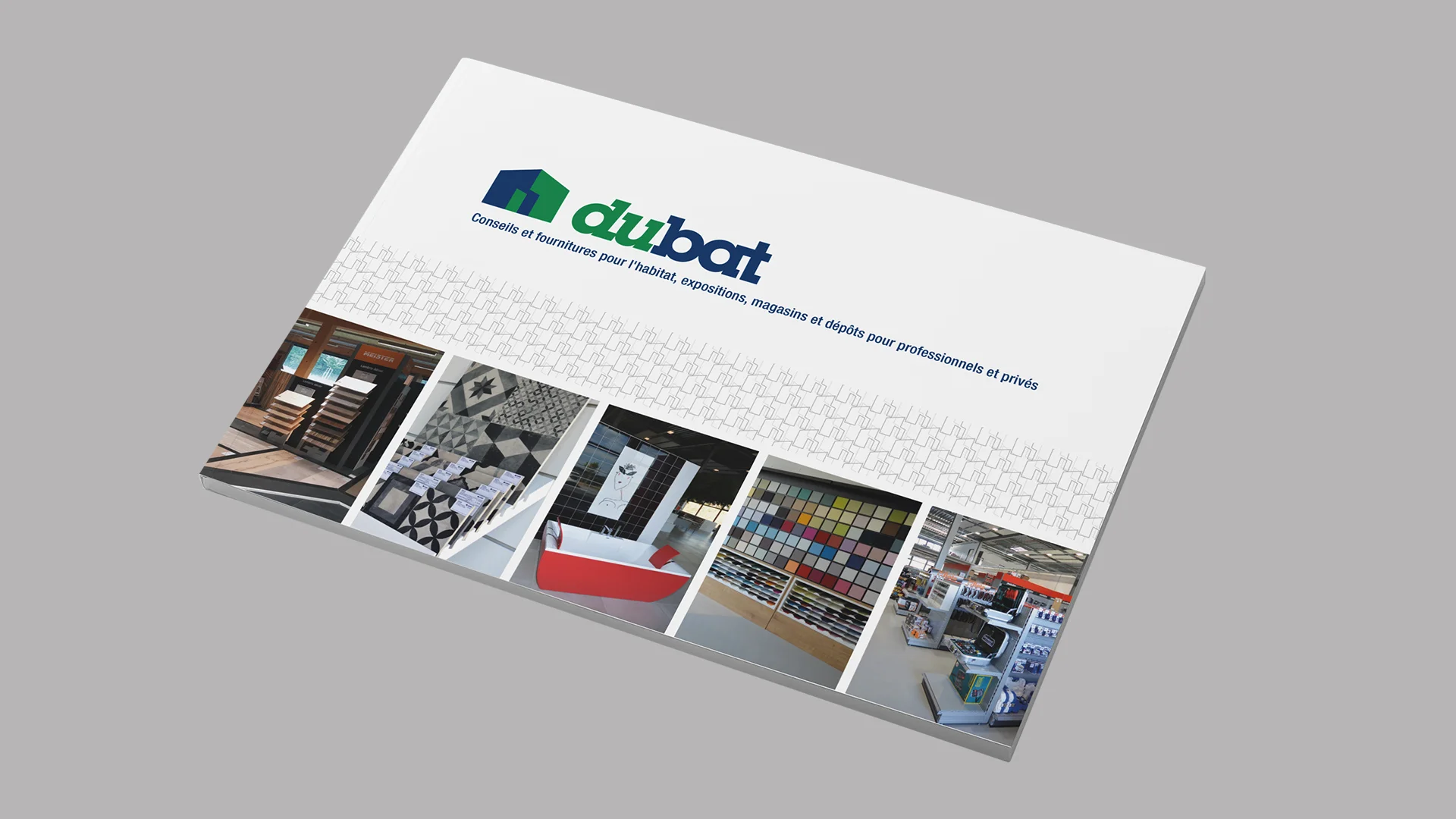 Agnès Thélin Portfolio: dubat