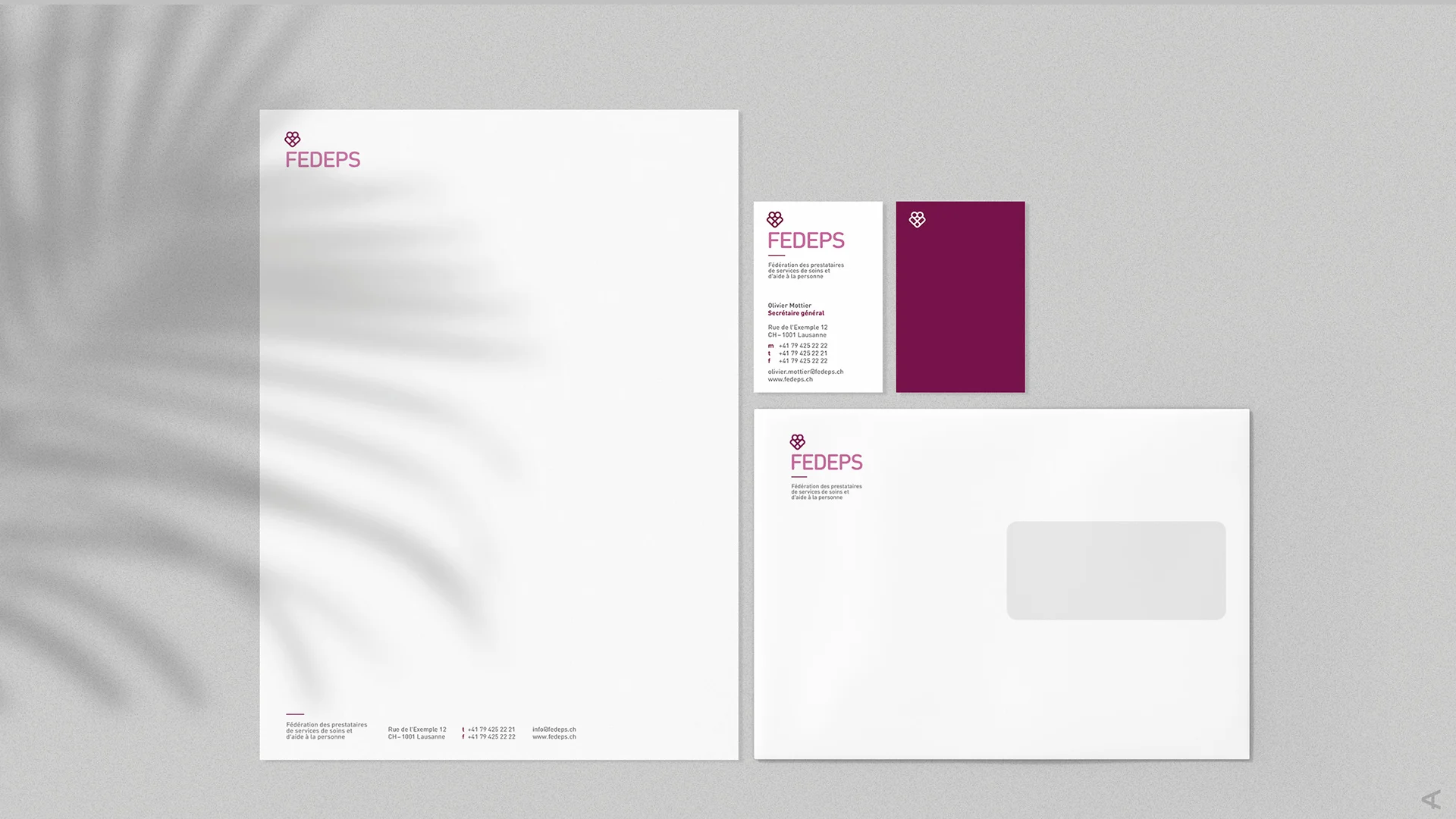 Agnès Thélin Portfolio: Fedeps