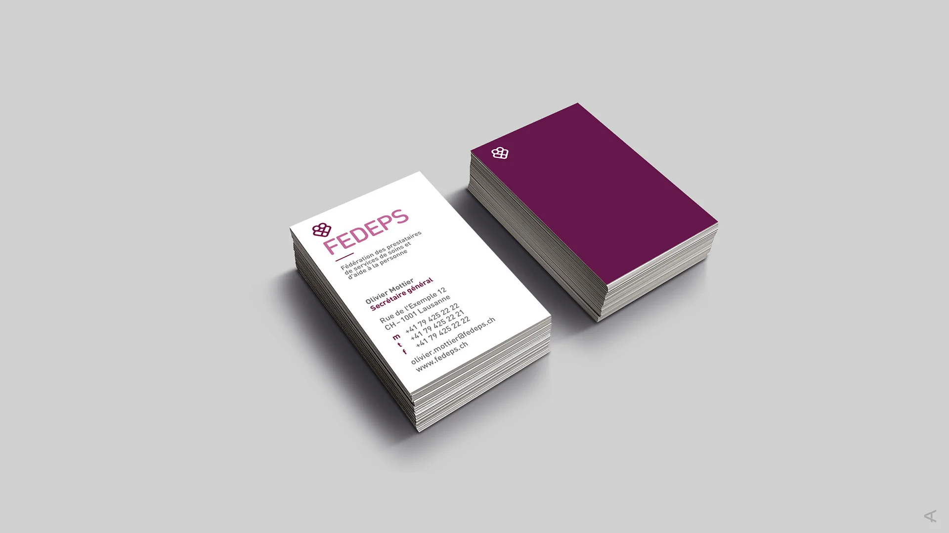 Agnès Thélin Portfolio: Fedeps